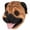 Hound, variant on Full Head Dogs Mask,Realistic Dog Head Mask,Spoof Animal Pup Costume for Halloween Role-Play Party,Animal Head Masks