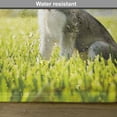 thumbnail image 6 of Ambesonne Alaskan Malamute Place Mats Set of 4, Friendly, Standard Size, Multicolor, 6 of 6