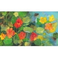 thumbnail image 2 of Botman, Loes 32x21 White Modern Wood Framed Museum Art Print Titled - Nasturtium 2, 2 of 4