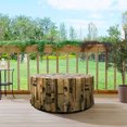 thumbnail image 2 of Willwolfer Garden Simulated Wood Stump Patio Tea/Coffee Table Retro Garden Decor Furniture, 2 of 5