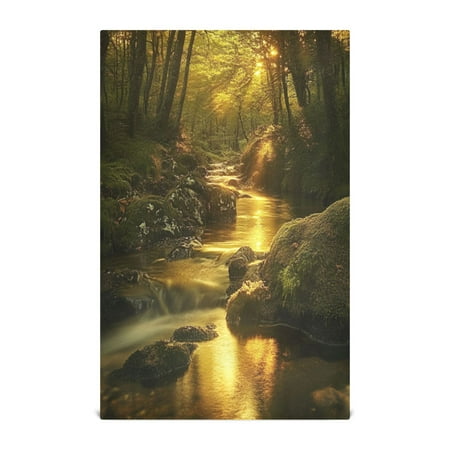 

Multi-Purpose Kitchen Towels 28x18 Inch Dishcloths with Hanging Loop Decorative and Practical Towels for Kitchen Dining Forest Stream with Moss-covered