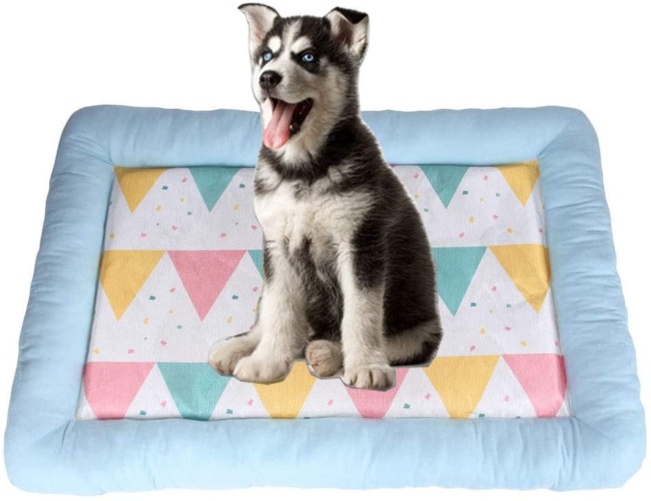 medium plastic dog bed