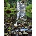 thumbnail image 2 of Terrill, Steve 15x18 White Modern Wood Framed Museum Art Print Titled - Oregon, Youngs River Falls Waterfall landscape, 2 of 4