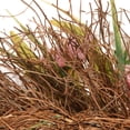 thumbnail image 4 of 21" Tulip Wreath, 4 of 4