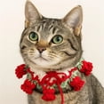 thumbnail image 2 of Denbek Cute Cat Collars, Hand-Knitted Floral Pet Collar Breakaway Kitten Collar Adjustable Cat Collars Cozy Cat & Small Dog Bib, Red-XS, 2 of 8