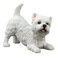 thumbnail image 2 of Veronese Design WU76901AA West Highland White Terrier Dog Sculpture, 2 of 3