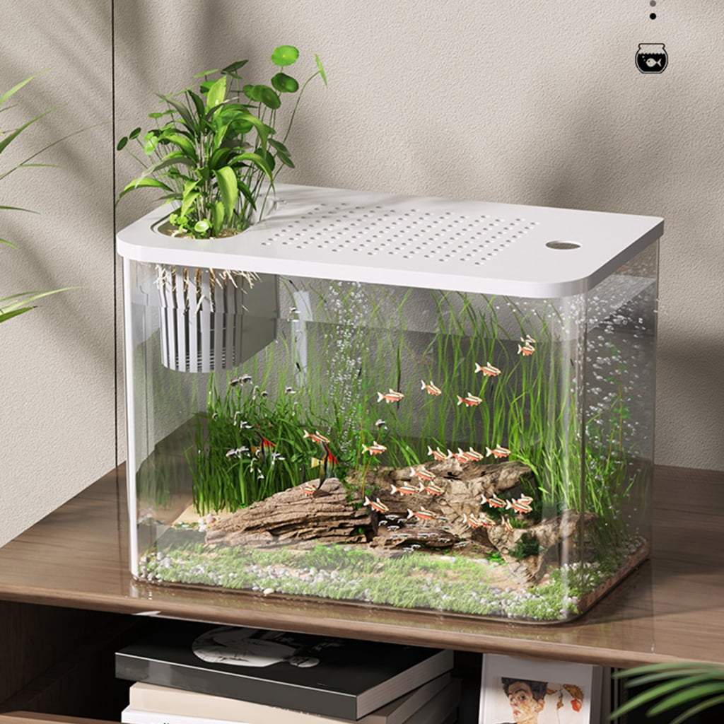 Tizuqe Scratch Resistant Clear Water Tanks Fish Bowl With Spillprevent Lid Plant Holder