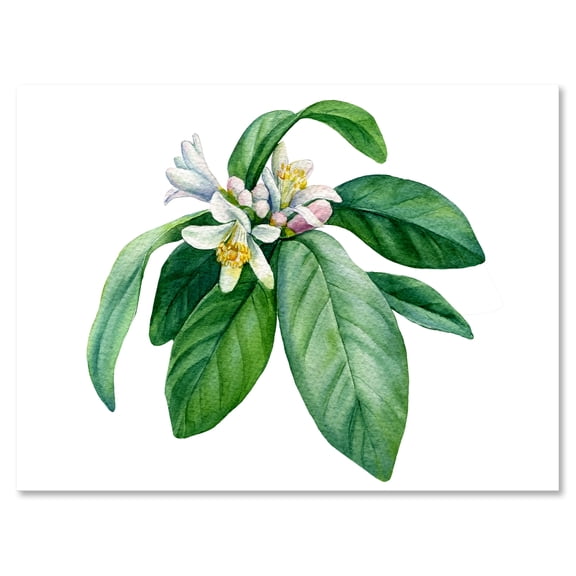 Designart ' Flowering Mandarin With Branch ' Traditional Canvas Wall Art Print