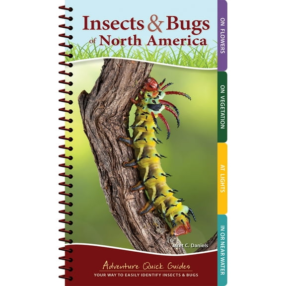 Adventure Quick Guides Insects & Bugs of North America: Your Way to Easily Identify Insects & Bugs, (Spiral-Bound)