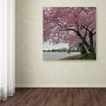 thumbnail image 3 of Trademark Fine Art "Tidal Basin Blossoms" Canvas Art by CATeyes, 3 of 3