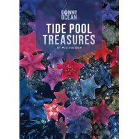 Tide Pool Treasures