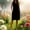 Dresses-682Black, variant on Gamivast Shift Dress for Women Crew Neck Sleeveless Midi Dress With Pockets Loose Fit Solid Color Casual Summer Style A-Line House Dress Lounge Outfits