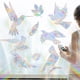 thumbnail image 4 of Adhesivos para ventanas contra pájaros Adhesivos contra colisiones de pájaros Adhesivos reflectantes arcoíris y sol No se requiere pegamento para el cristal, 4 of 8