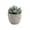 Gray B, variant on Artificial Potted Plants for Home Decor – Realistic Fake Plastic Flower Arrangements with White Pots for Indoor Spaces