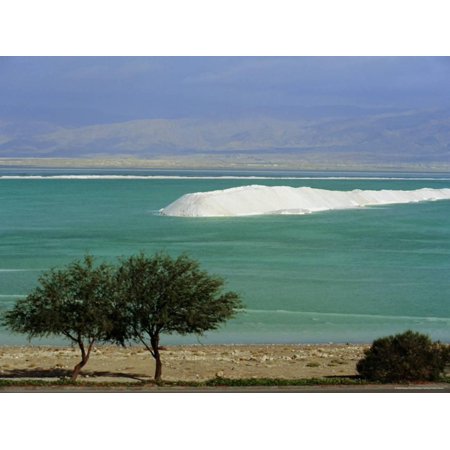 Mined Sea Salt at Shallow South End of the Dead Sea Near Ein Boqeq, Israel, Middle East Print Wall Art By Robert