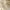 A04-Yellow, variant on Clearance Deals Gnurob Ladies Wide Leg Pants Printed Trousers Elastic Waisted Slacks Comfy Straight Palazzo Teen Girls Summer Beach Vacation Pant Fashion Streetwear Clothes,A01-White,X-Large
