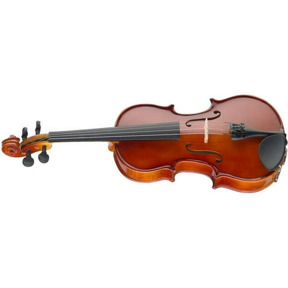 Stagg Music VN-4/4 EF Violin