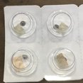 thumbnail image 3 of 1* Oscillating Weight Rotor Axle Watch Repair Tools Spare For ROLEX 3135 568 Accessories, 3 of 11