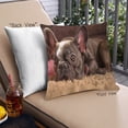 thumbnail image 1 of Ahgly Company Dogs Bulldog Coussin Extérieur, 18 Pouces par 18 Pouces, 1 of 6