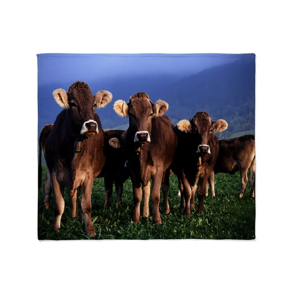 CafePress - Brown Swiss Throw Blanket - Soft Fleece Throw Blanket, 50"x60" for All Ages
