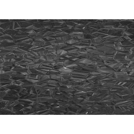 Ahgly Company Indoor Rectangle Patterned Charcoal Black Area Rugs, 2' x 4'