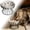 A, variant on Heavy Duty Ceramic Slow Feeder Cat Bowl,Non Slip Stainless Steel Food Dish for Slow Feeding, Raised Design for Cats Dogs, Bloat Prevention