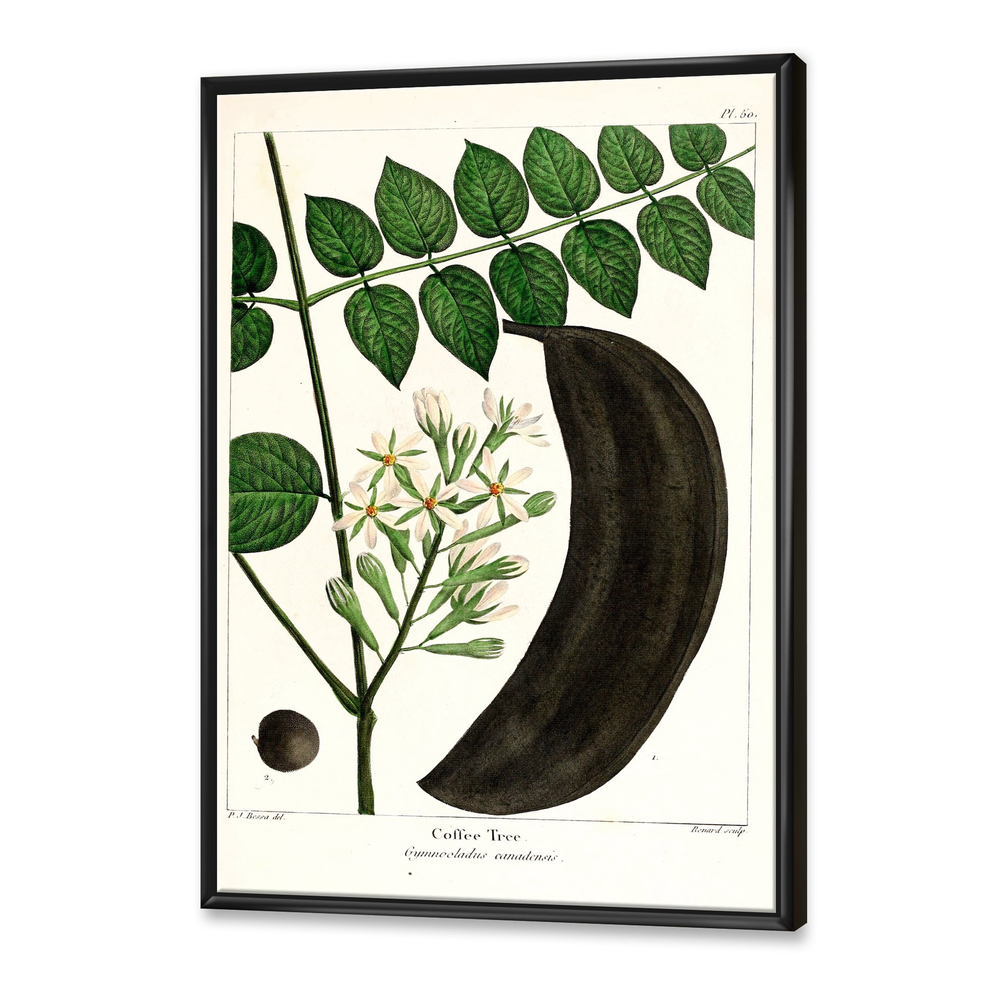 Ancient Plant Life IX 12 in x 20 in Framed Painting Canvas Art Print, by Designart