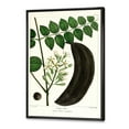 thumbnail image 4 of Ancient Plant Life IX 12 in x 20 in Framed Painting Canvas Art Print, by Designart, 4 of 5