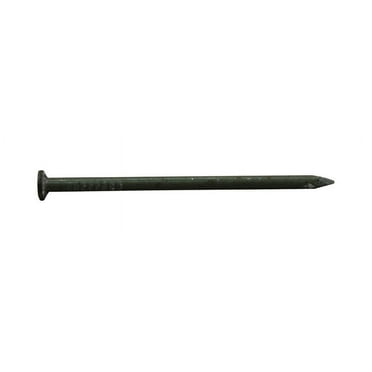 Pro-Fit 3-1/4 in. Common Bright Steel Nail Flat Head 1 lb