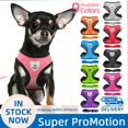 thumbnail image 2 of Typpkmm Dog Harness Walking Lead Leash for Small Dogs Collar Polyester, 2 of 7