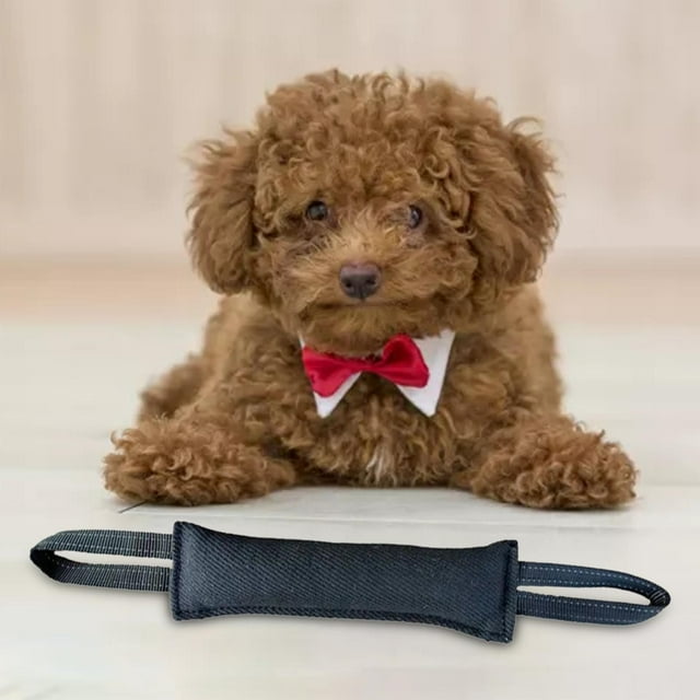Juguete para para perros, juguete para masticar con cuerda, dos asas suaves, suministros para mascotas resistentes a desgarros, almohada para Negro Fernando Juguetes para morder perros