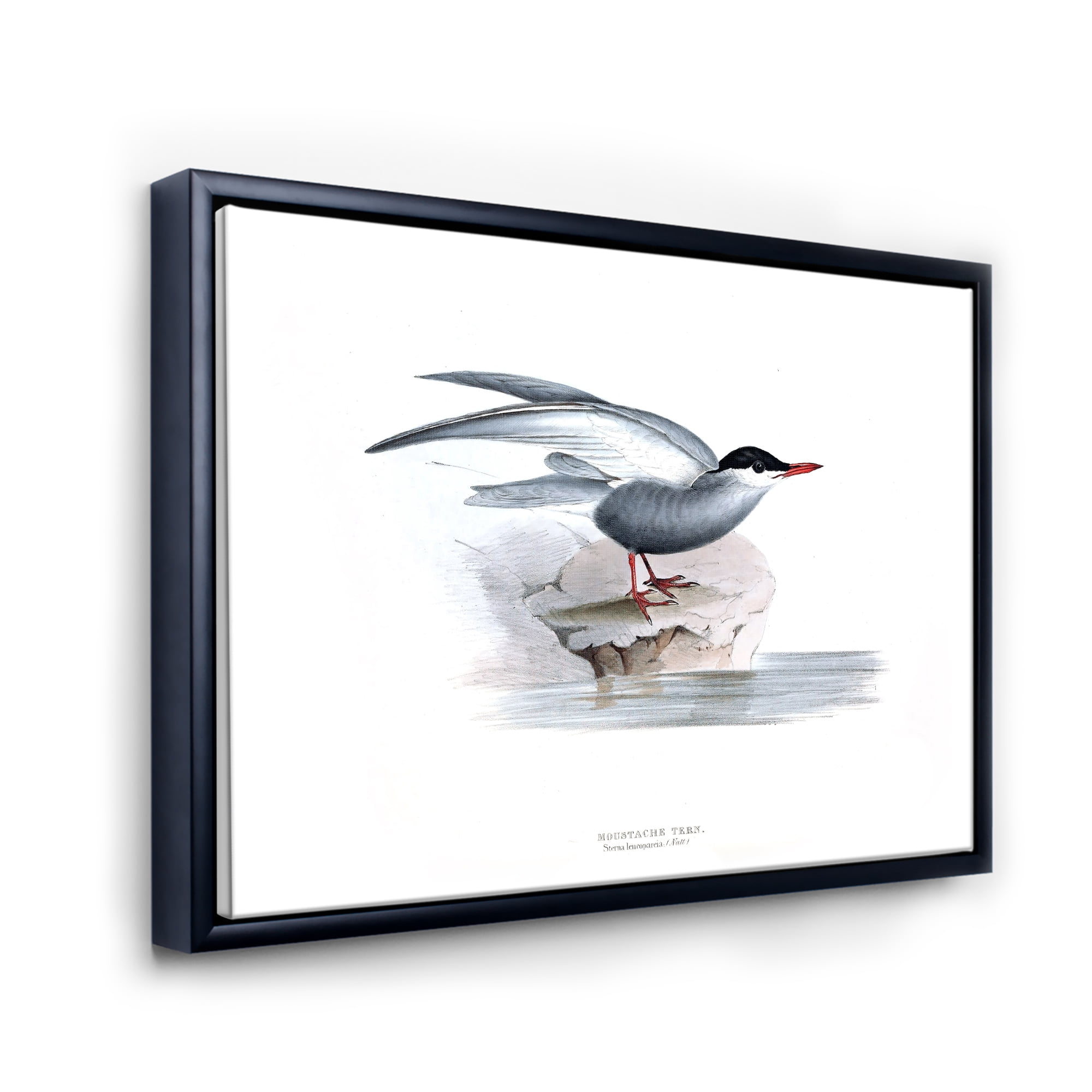 Ancient Bird Of Europe I 32 in x 16 in Framed Painting Canvas Art Print, by Designart
