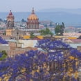 thumbnail image 2 of Paulson, Don 15x15 White Modern Wood Framed Museum Art Print Titled - Mexico, San Miguel de Allende Jacaranda and city, 2 of 4