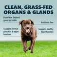 FOUR LEAF ROVER Guts & Glory 100 GrassFed Raw Beef Organs for Dogs