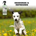 thumbnail image 3 of Champú desodorante y antiolor para mascotas Wahl USA para perros, 3 of 7