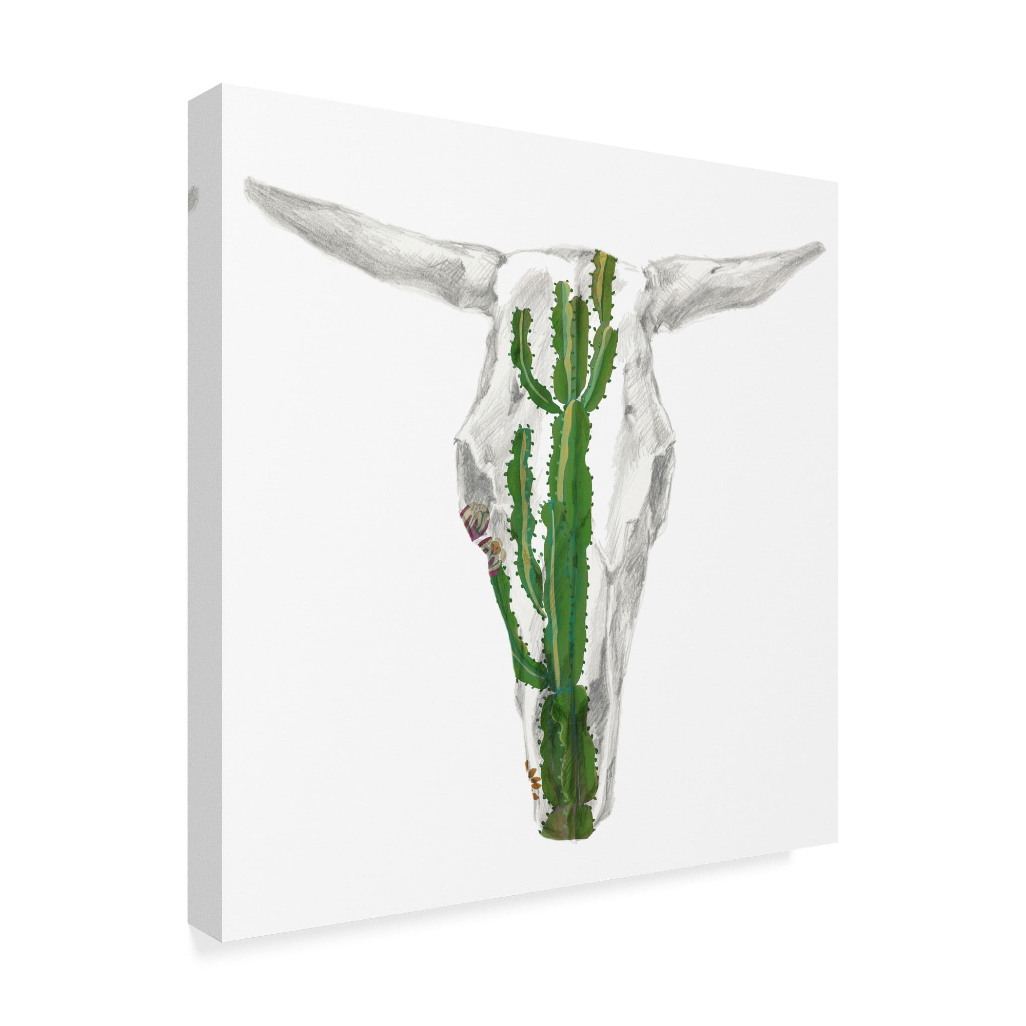 Trademark Fine Art 'Day of the Dead Skull Mount IX' Canvas Art by Studio W