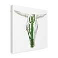 thumbnail image 2 of Trademark Fine Art 'Day of the Dead Skull Mount IX' Canvas Art by Studio W, 2 of 4