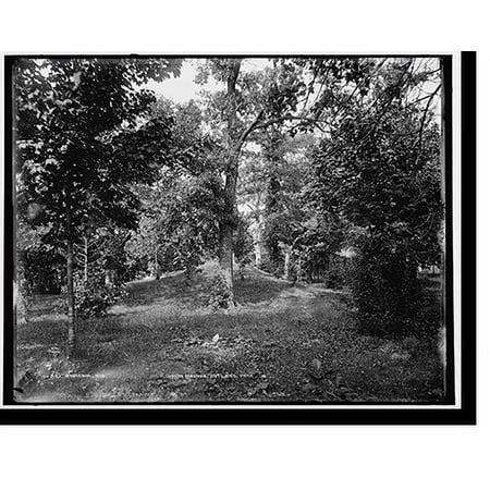 Historic Print, Waukesha, Wis., Indian mounds, Cutler's Park, 16" x 20"