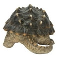 thumbnail image 3 of SNAPPING TURTLE STATUE, 3 of 3