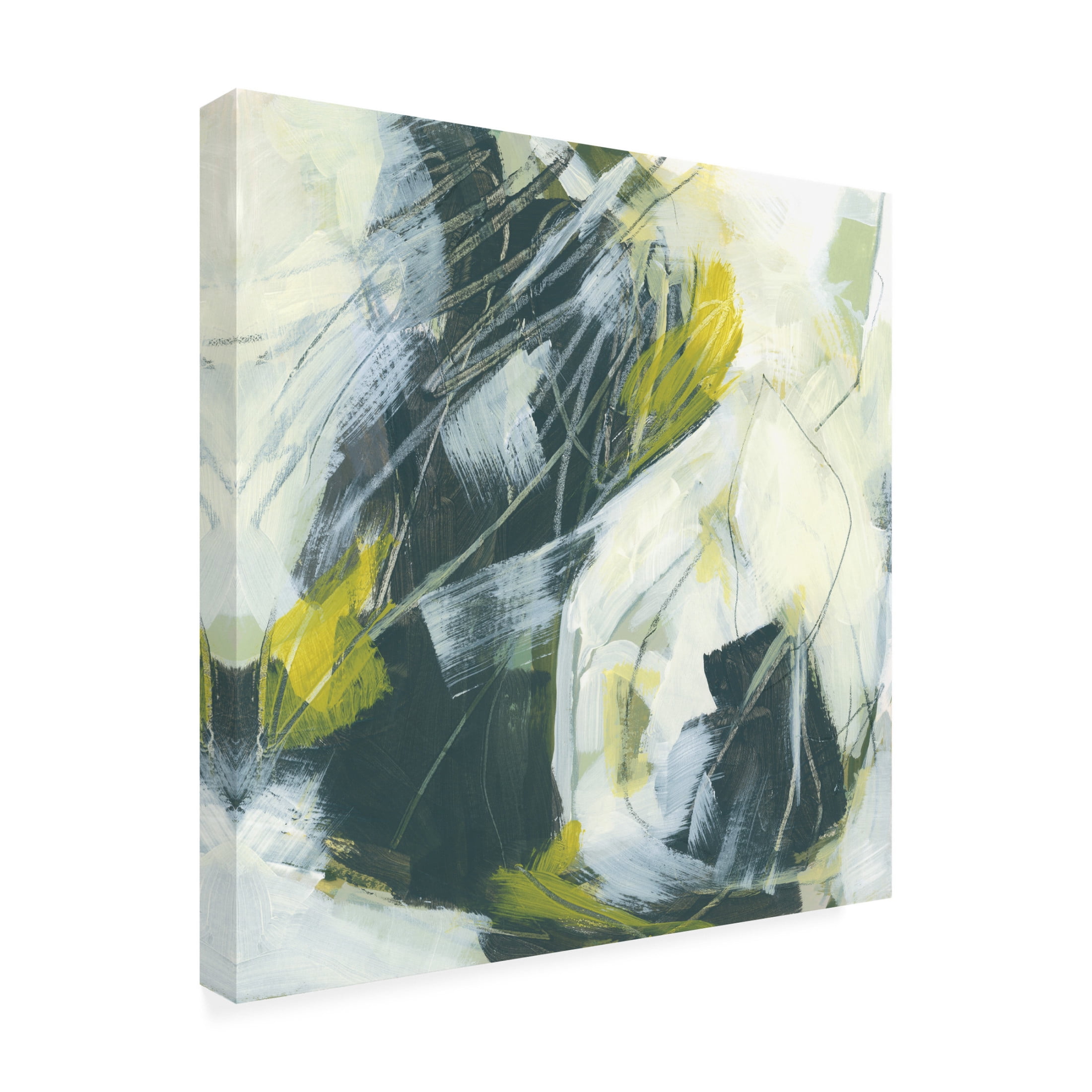 Trademark Fine Art June Erica Vess  Citron Synergy III Canvas Wall Art