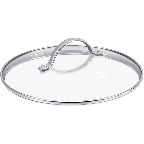 Visualz Glass Lid with Stainless Steel Handle, 9.5", Silver