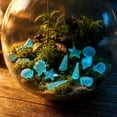 thumbnail image 7 of 300 Pack Luminous Sea Figurines Glow In The Dark Seashell Starfish Ocean Stones Aquarium Vase Fillers Beach Themed Garden Party Decorations Resin Plastic DIY Craft Supplies Set Kit, 7 of 7