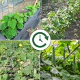 thumbnail image 2 of Malla de jardín, soporte de plantas de escalada de red de 2x5m, adecuado para pepinos, tomates, redes de escalada de plantas de cosecha. Utilizado en Greenhous Feliz Sencillez, 2 of 4
