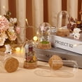 thumbnail image 5 of 10Pcs Dome Decorative Jars 1.8x3.5inch Glass Display Dome Cloche Glass Bell Jar with Cork Base for Flower Storage Specimens Crafts Decorations DIY, 5 of 7