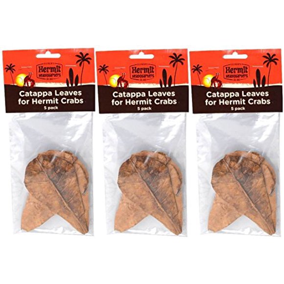 Flukers Feuilles de Catappa pour Crabes Ermites (5 Feuilles par Paquet)