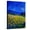 Canvas, variant on Art.com Blue Cornflowers 4550 Art Print by Pol Ledent, 12" x 16"