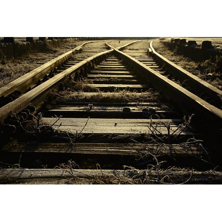 Canvas Print Way The Railways Tracks Light Rails Stretched Canvas 10 x (Best Way To Cut Railroad Track)
