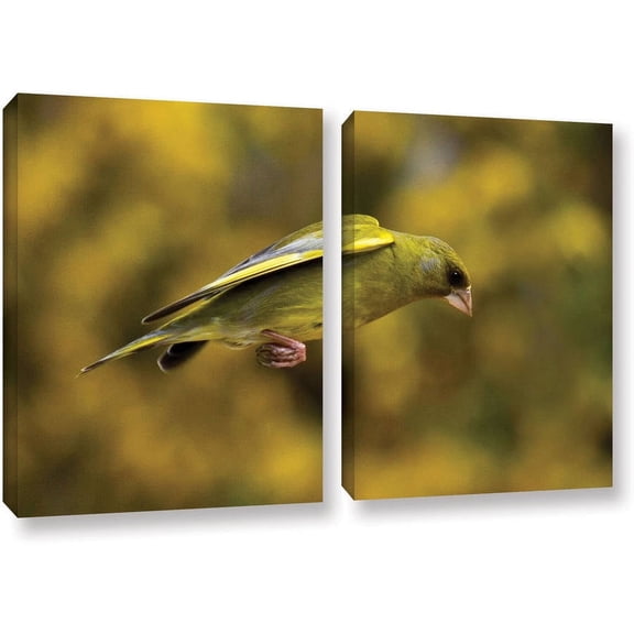 ArtWall Lindsey Janich "Finch Leapings 1" 2-Piece Gallery-Wrapped Canvas Set
