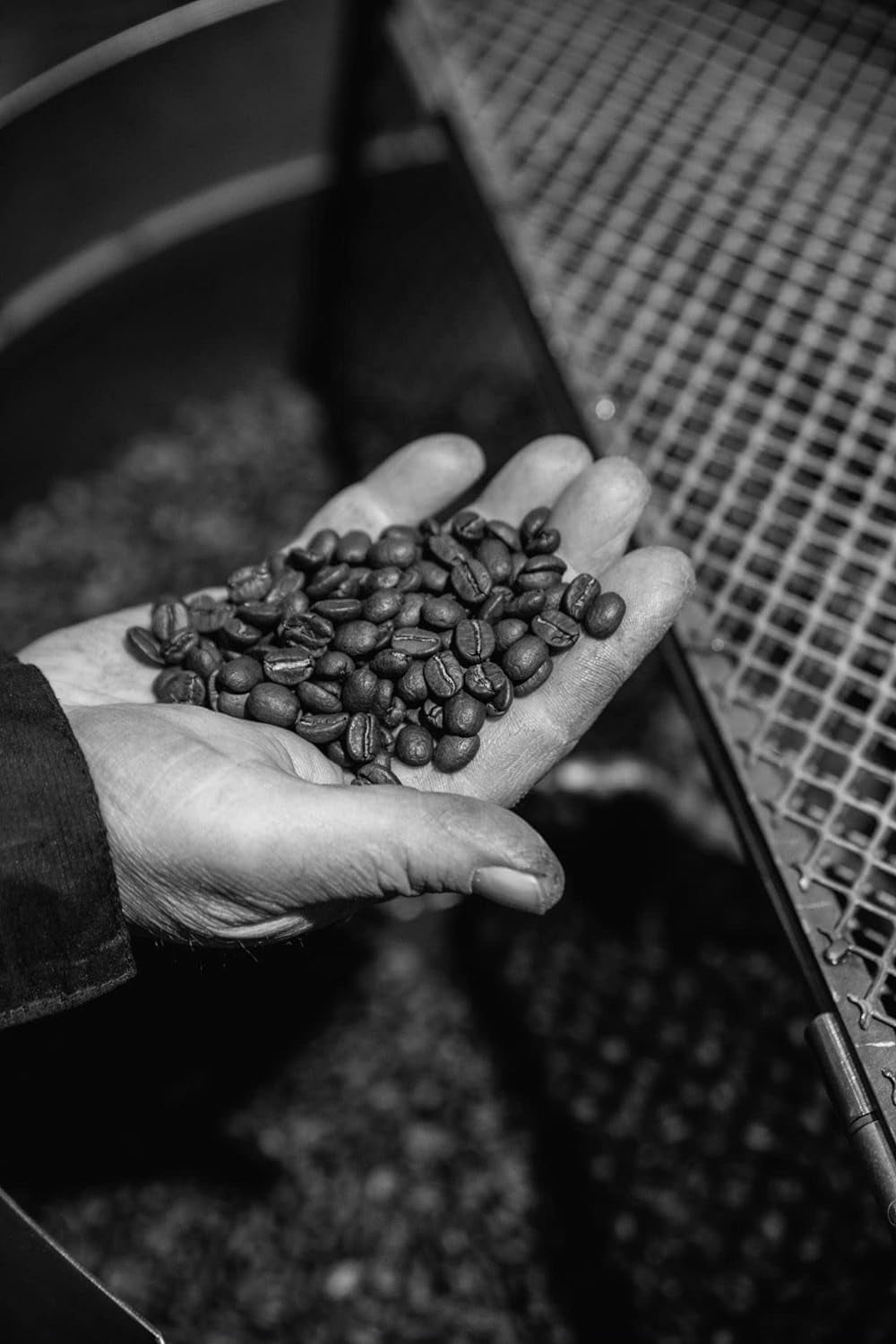 Bristot Crema Oro Italian Espresso Beans - Italian Beans Whole - Medium Roast - 1.1lb/500g
