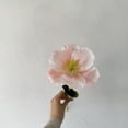 thumbnail image 5 of Xiao Hua 6 flores artificiales de tacto real para decoración del hogar, oficina, boda, arreglo floral (Q03, 9.8 pulgadas de largo), 5 of 5